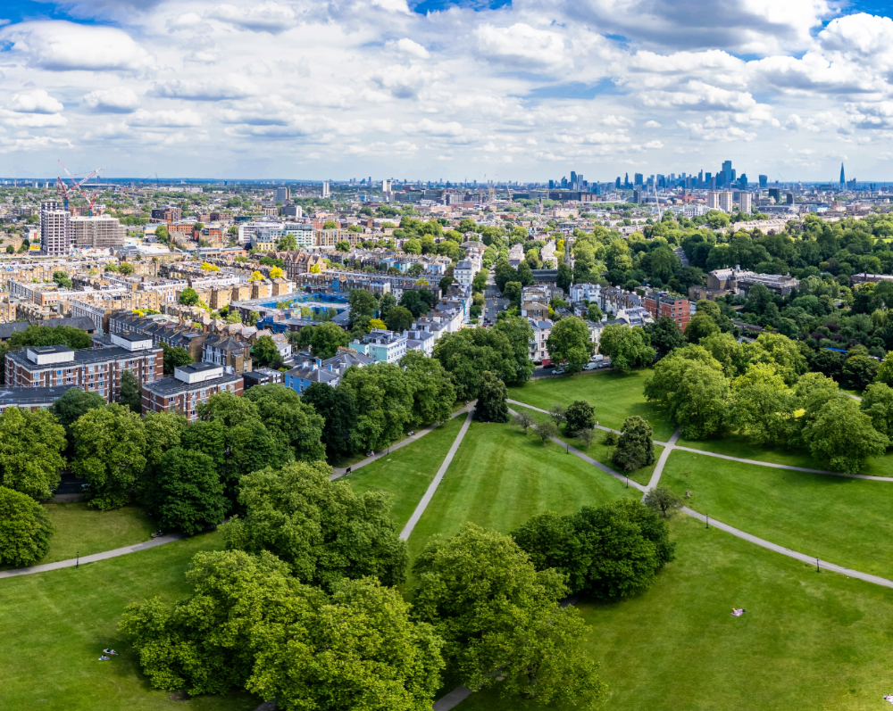 View looking across Primrose Hill green space