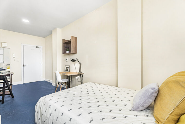 Interior view showing a single bed and study area
