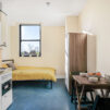 open planned living area with bed, dining and kitchen space